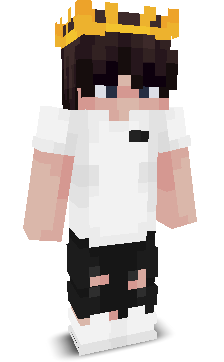 KOROL2012's skin