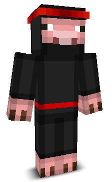 PiggXD's skin
