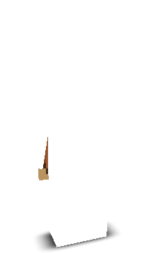 0Caa's skin