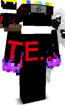 BEST_PVP_ER's skin