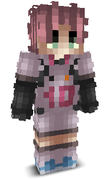 lastninja's skin