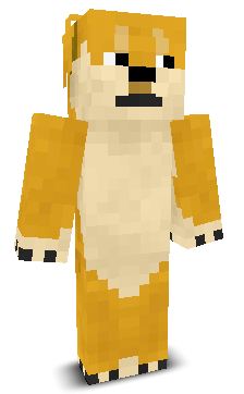 RektMcRektface's skin