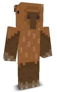 RK1ing's skin