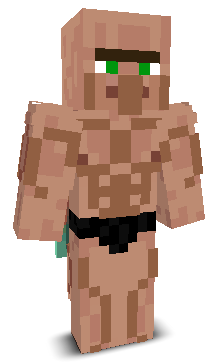 Ninja10Hacker's skin