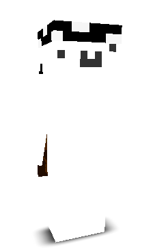 RomixMINE's skin
