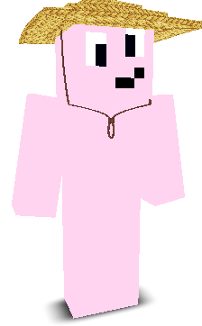 stizy_y's skin