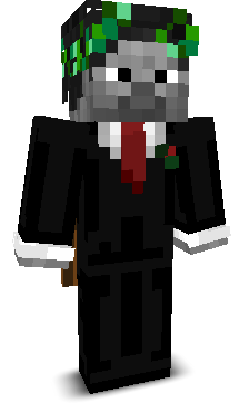 Ku3be's skin