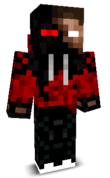 EnderBrian's skin