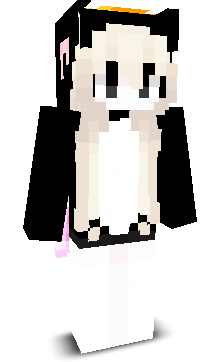 VlLLAGE's skin