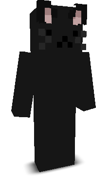 Server_Sweeper's skin