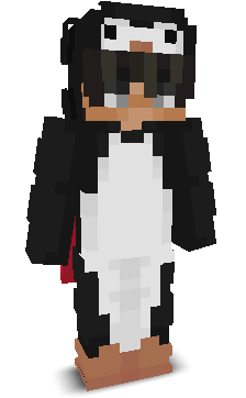 Net__'s skin