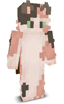 Blockmaster140's skin