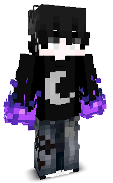 SurviLord's skin