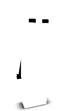 zFun's skin