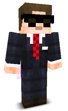 Niklas8466's skin