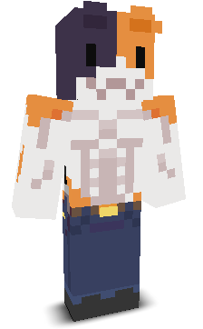 nohax_'s skin