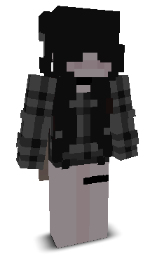 niiiiiiiix's skin