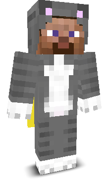 PROFlLE's skin