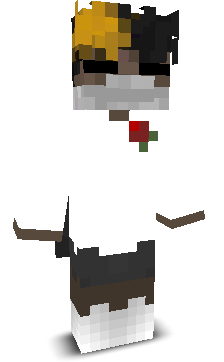 APEXAR's skin