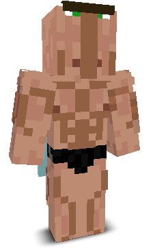 SwipeTaker's skin