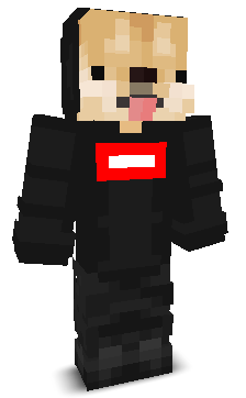 puzuR's skin