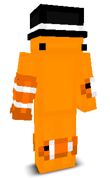 Enderdonkey18's skin