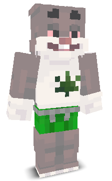 pasekstarego_'s skin
