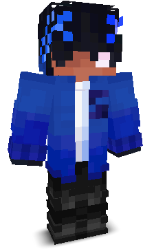 V0rn3X's skin
