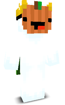 11111_11111's skin