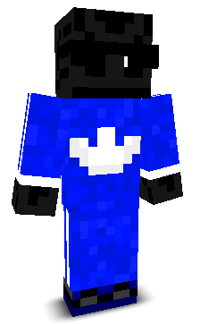 Zolwy's skin
