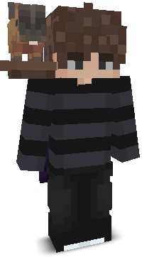 vAshxr_'s skin