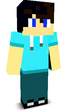 po16po16's skin