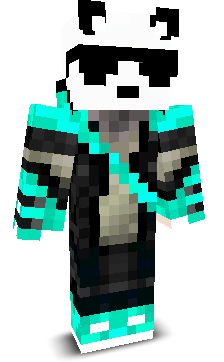 Enderpanda113's skin
