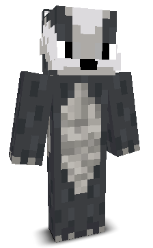 Its_Badg3r's skin