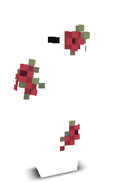 iDvck's skin