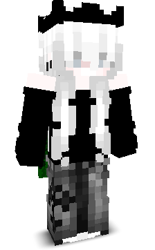 elevenzzk's skin