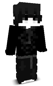 acsca54312's skin