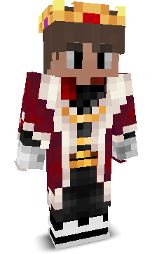 DudeSquad11's skin