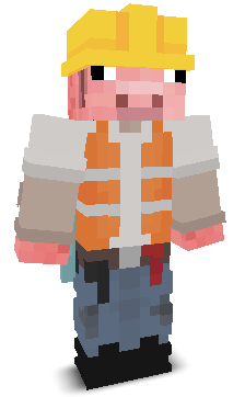 DirtFusion14's skin