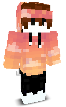 RocketDuck317's skin