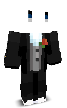 pokecraftplayer's skin