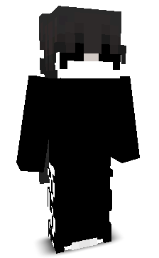 sxinn's skin