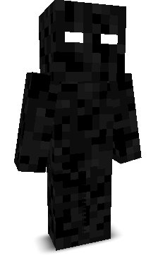 Void_Prophetx1's skin