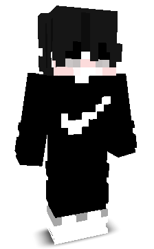 CareerBowl's skin