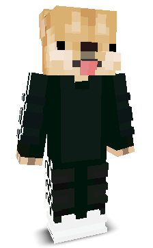 Doge_Master13's skin
