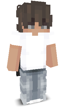 PL6476's skin