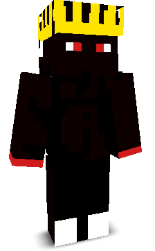 swer1kk's skin