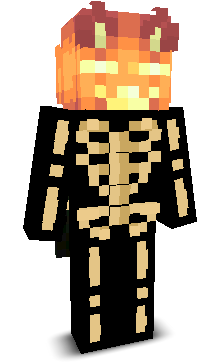 f1cl's skin