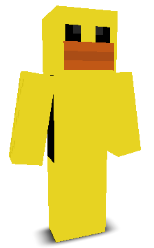 wiqomc's skin