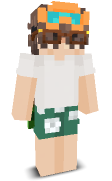 Salixr's skin